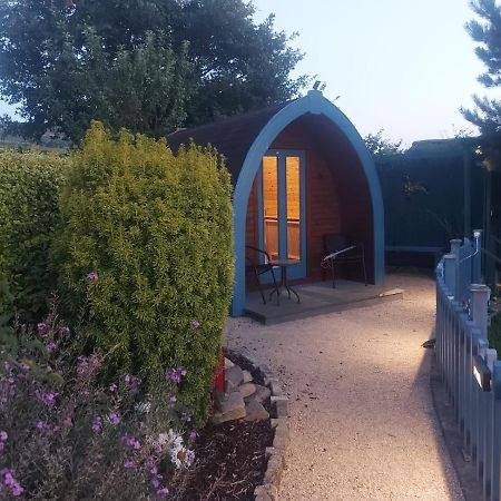 Glamping In The 2Nd Field Hotell Aughrim Exteriör bild