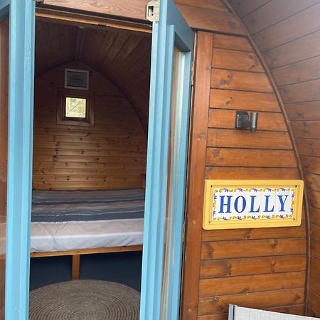 Glamping In The 2Nd Field Hotell Aughrim Exteriör bild