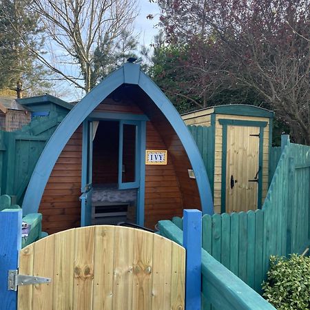 Glamping In The 2Nd Field Hotell Aughrim Exteriör bild