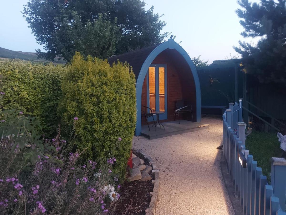 Glamping In The 2Nd Field Hotell Aughrim Exteriör bild